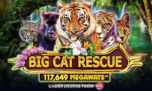 Imagem do jogo Big Cat Rescue Megaways do PokerStars